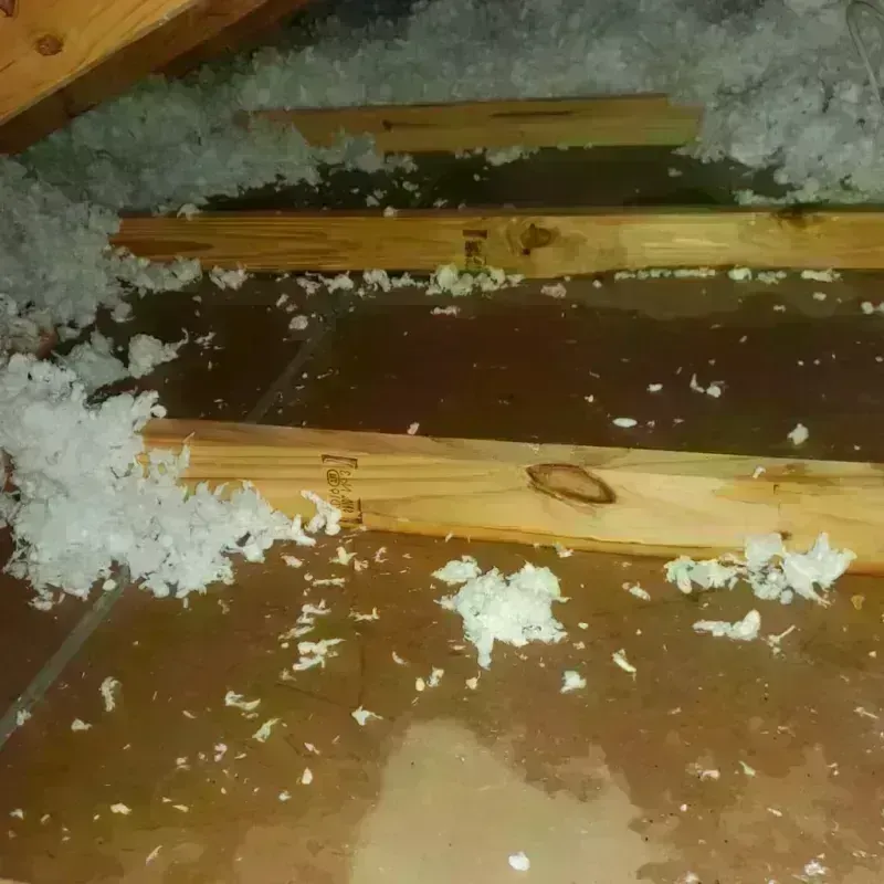 Attic Water Damage in Stutsman County, ND